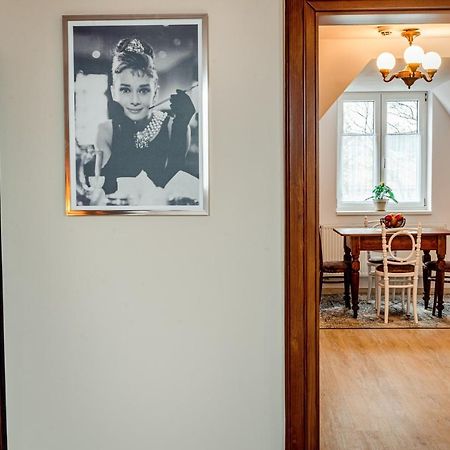 Nadstandardni Luxusni Apartman V Centru Ceske Lipy Česká Lípa エクステリア 写真